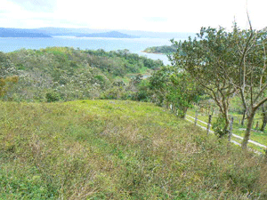 A vdery good unpaved road access the property.